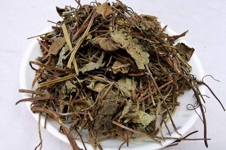 透骨消中药图 透骨消中药图