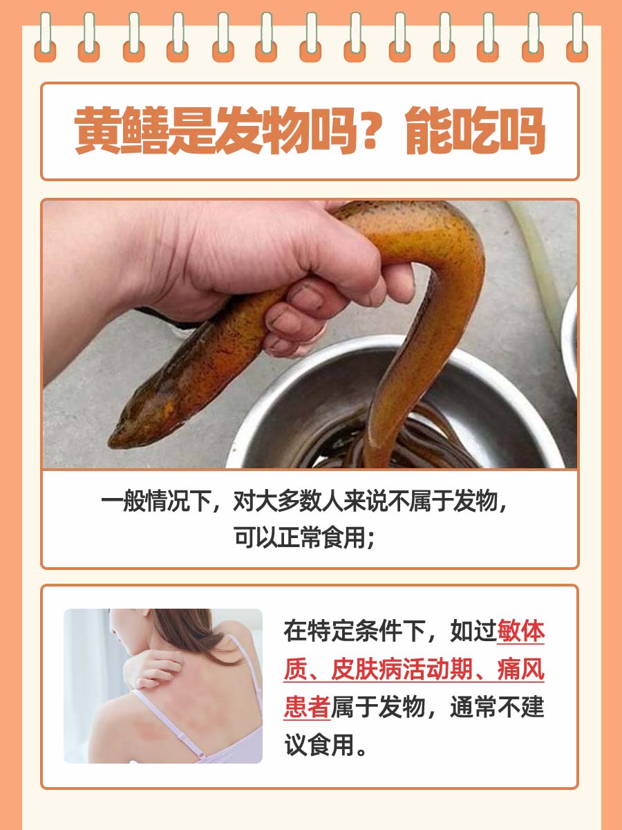 食用指南：黄鳝是发物吗？能吃吗？