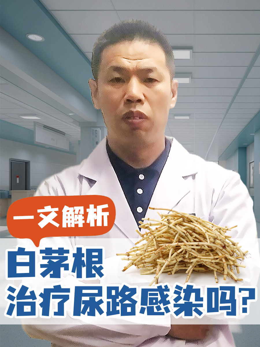 一文解析：白茅根治疗尿路感染吗