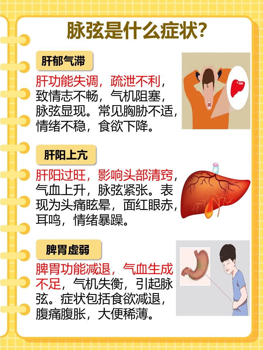 脉弦是什么意思和症状？你知道吗？