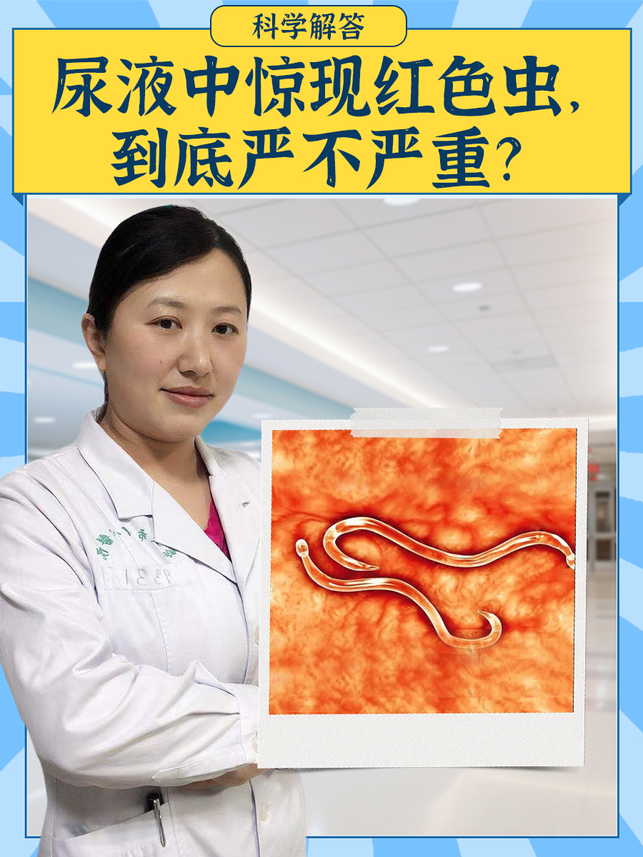科学解答：尿液中惊现红色虫，到底严不严重？