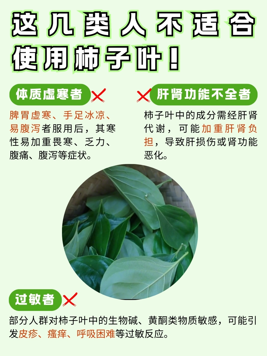 敲重点！带你认识柿子叶的功效与作用！