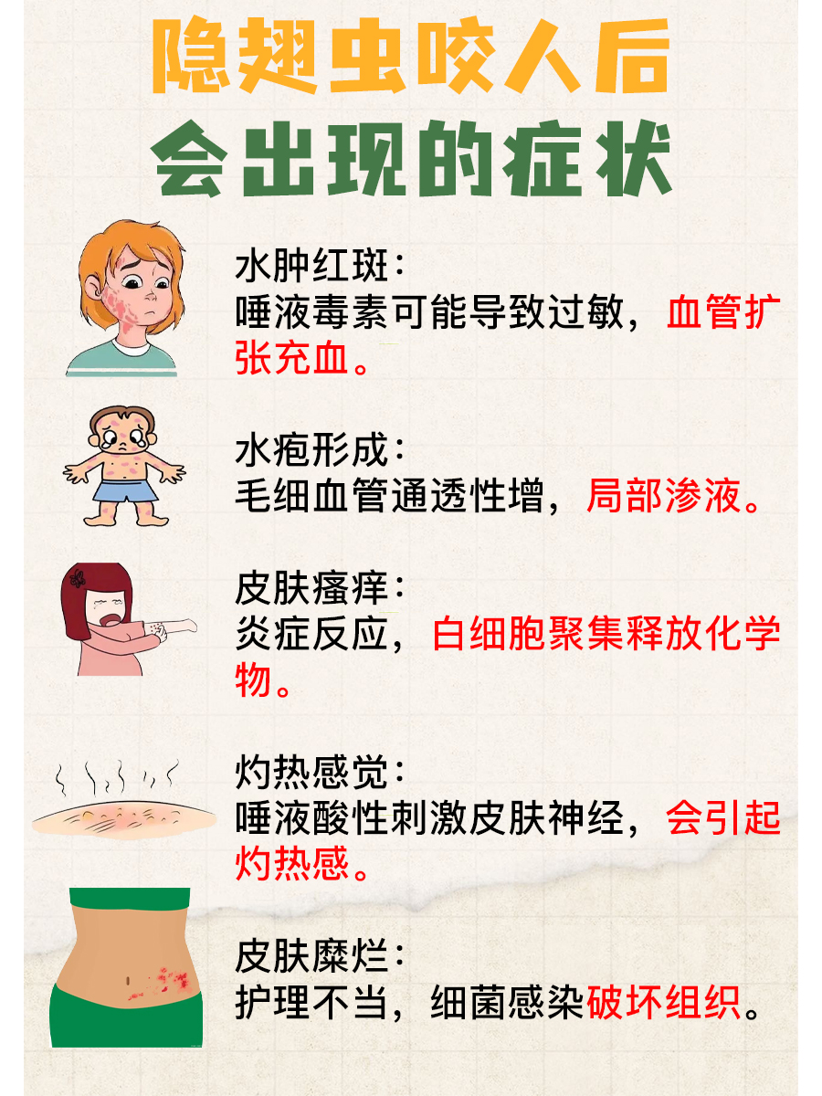 隐翅虫咬人后症状：这里有答案