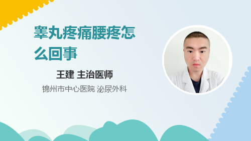 睾丸和肛门之间疼痛怎么回事