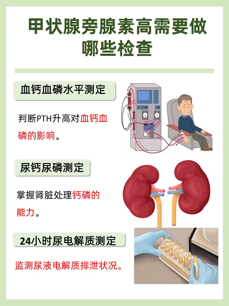 甲状腺旁腺素升高：警惕潜在疾病的早期信号