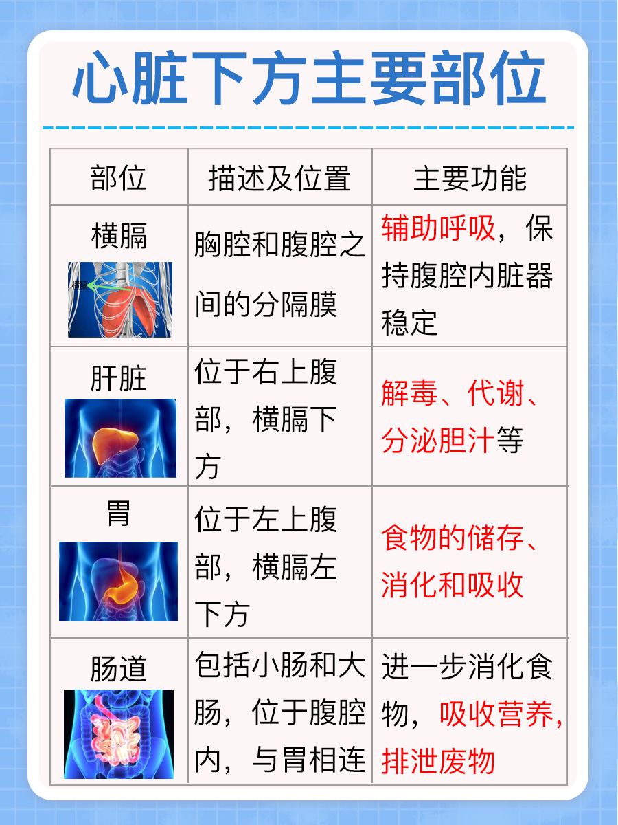 心脏下方疼痛之谜——一文解答