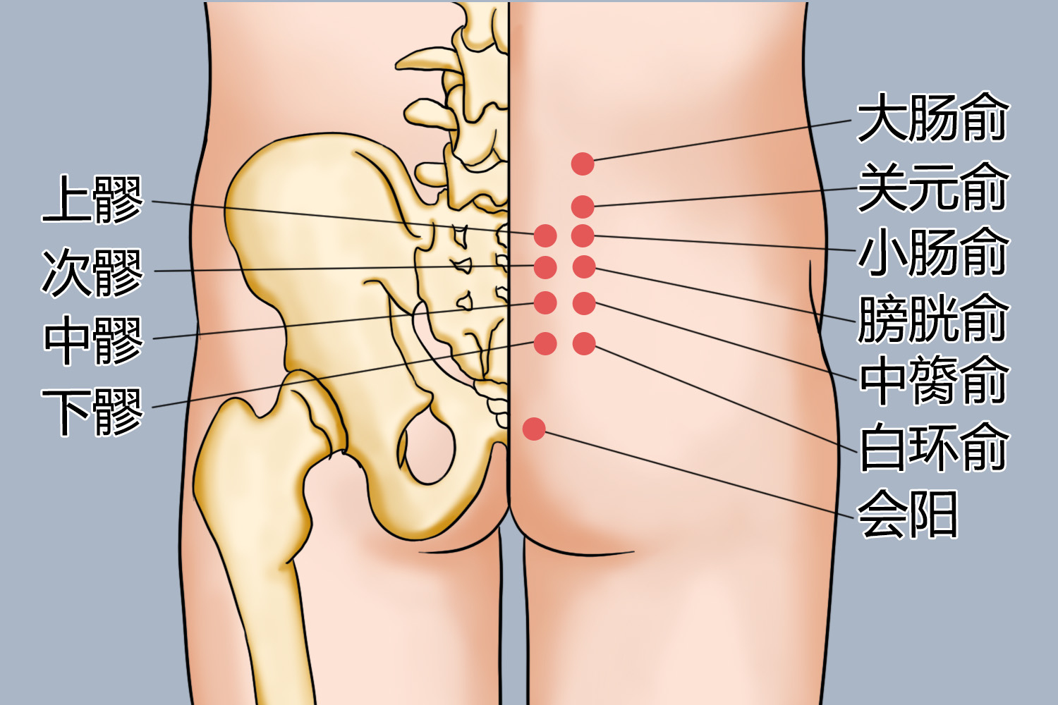 关元俞位置图 关元俞位置图