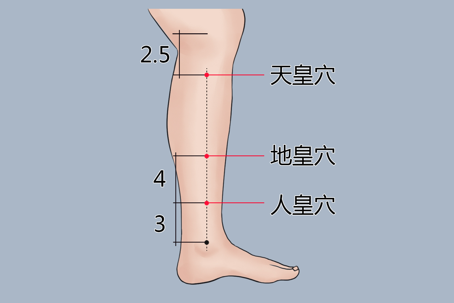 天皇的准确位置图片