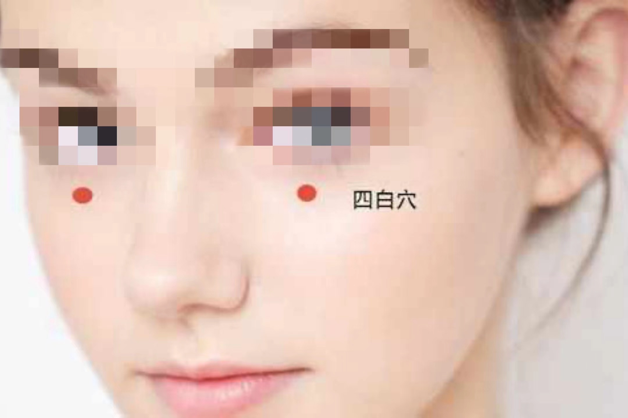 四白穴图
