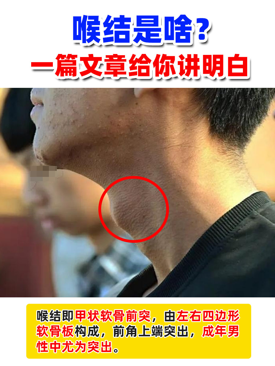 喉结是啥？一篇文章给你讲明白