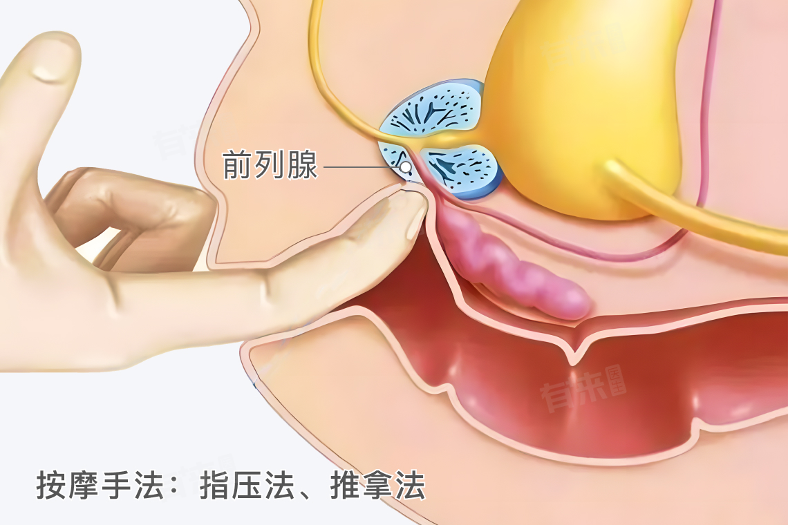 前列腺中医按摩位置和手法-有来医生