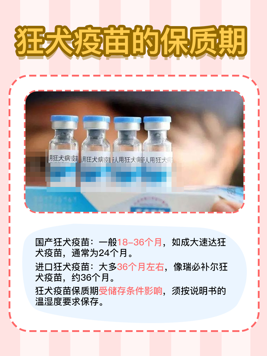 狂犬疫苗的保质期：一文解答