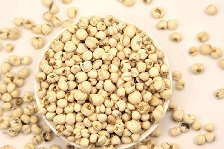 川贝母药材图 川贝母药材图