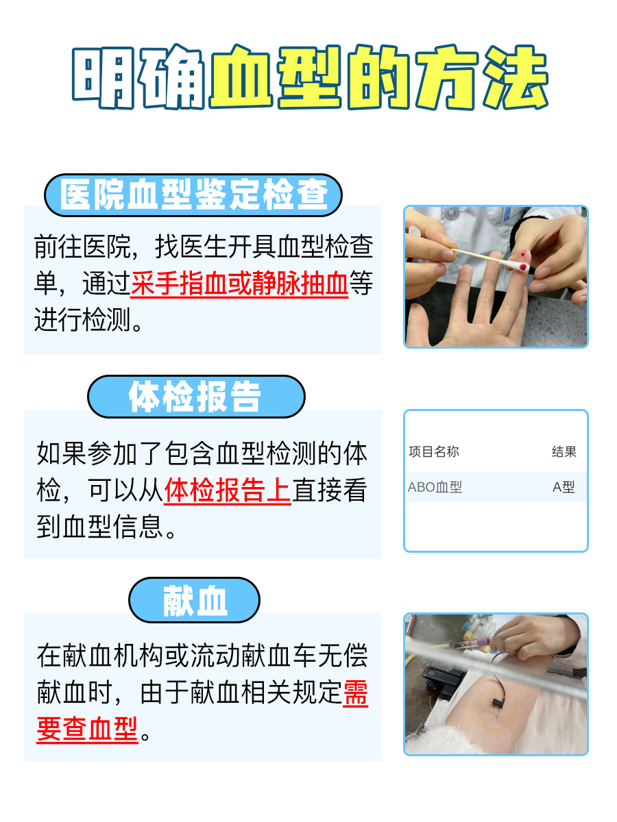 A型血：为何被誉为“贵族血”的奥秘