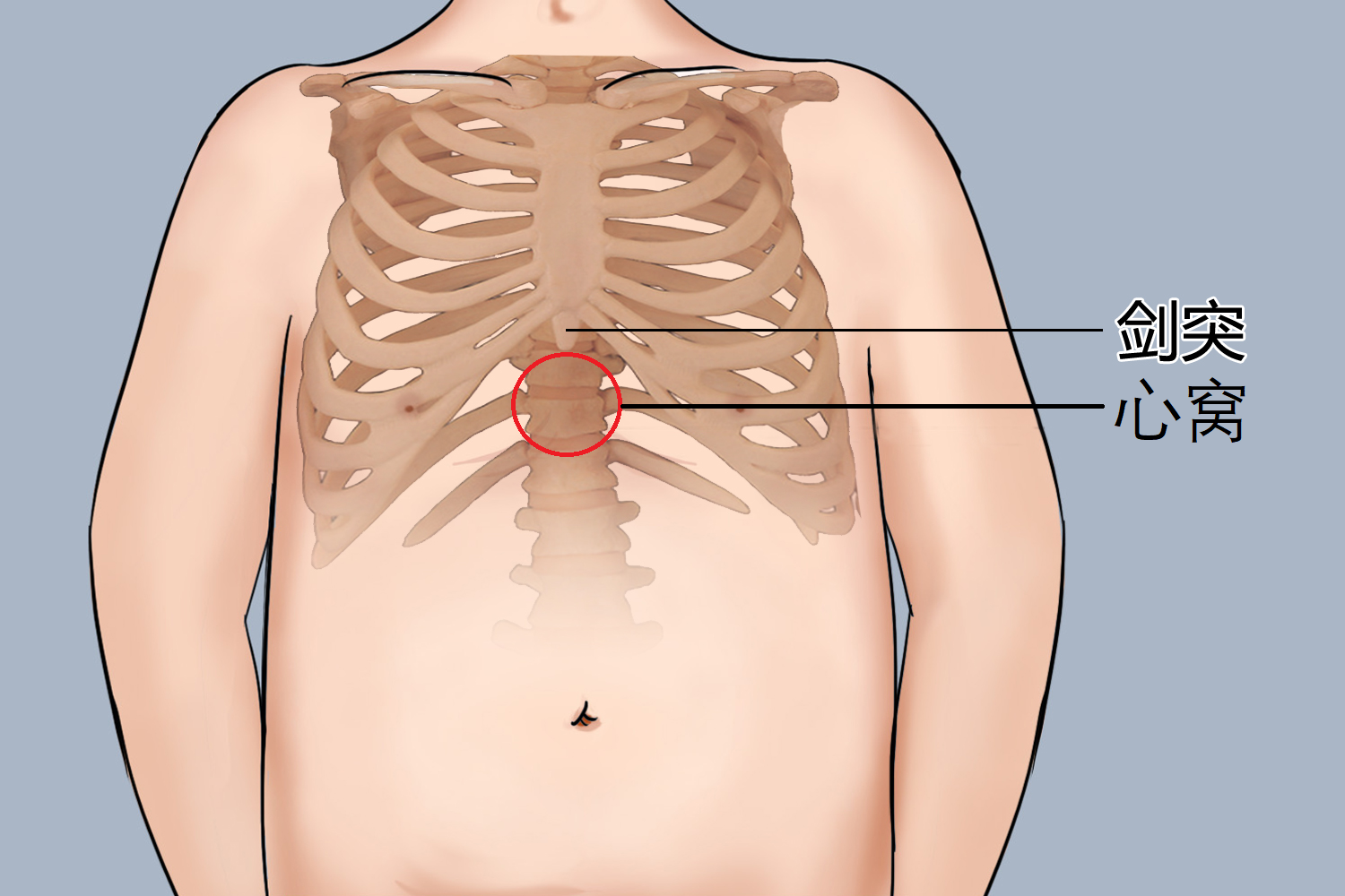 小孩心窝位置图