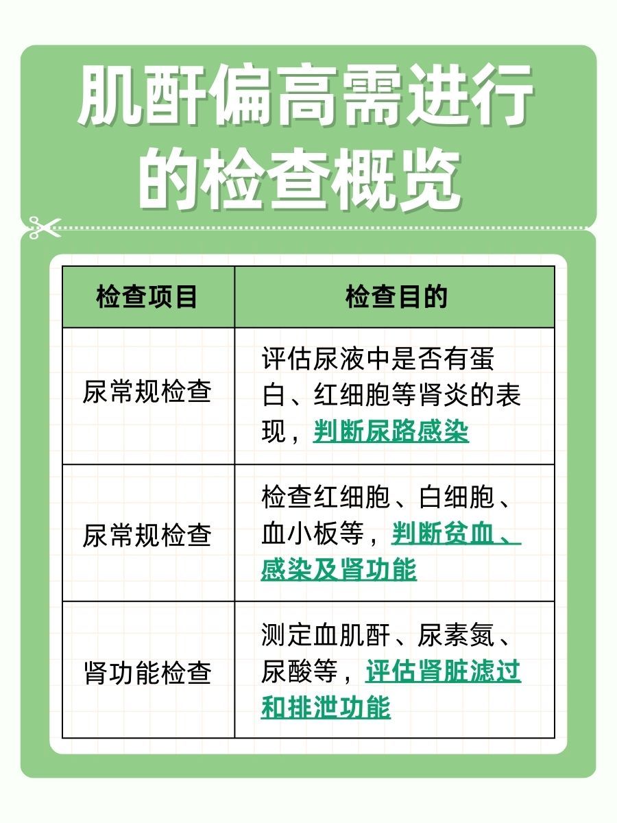 肌酐正常值57-97，实测105：偏高意味着什么？