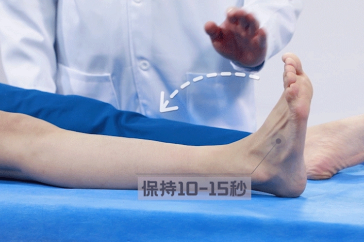 踝泵运动训练图