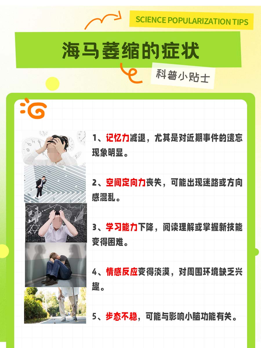 惊!海马萎缩一般能活几年?看这一篇就够了~