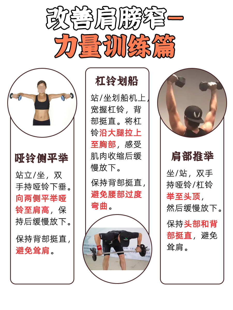 窄肩=骨架小？解锁身形秘密！