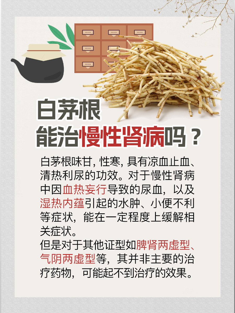 慢性肾病管理：白茅根真相与科学应对