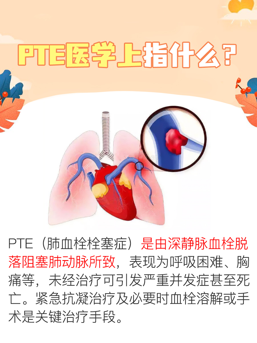 PTE：在医学中的真正含义