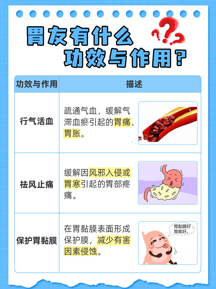 胃友的功效与作用有哪些？一文解析