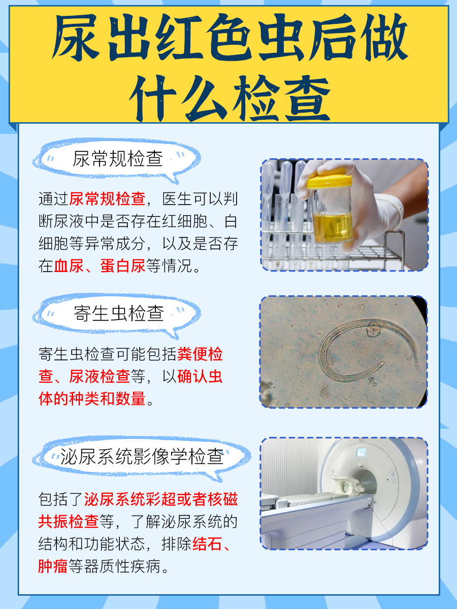 科学解答：尿液中惊现红色虫，到底严不严重？