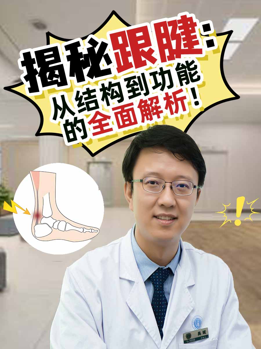 揭秘跟腱：从结构到功能的全面解析！
