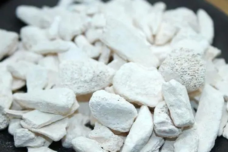 中药生龙骨图 中药生龙骨图