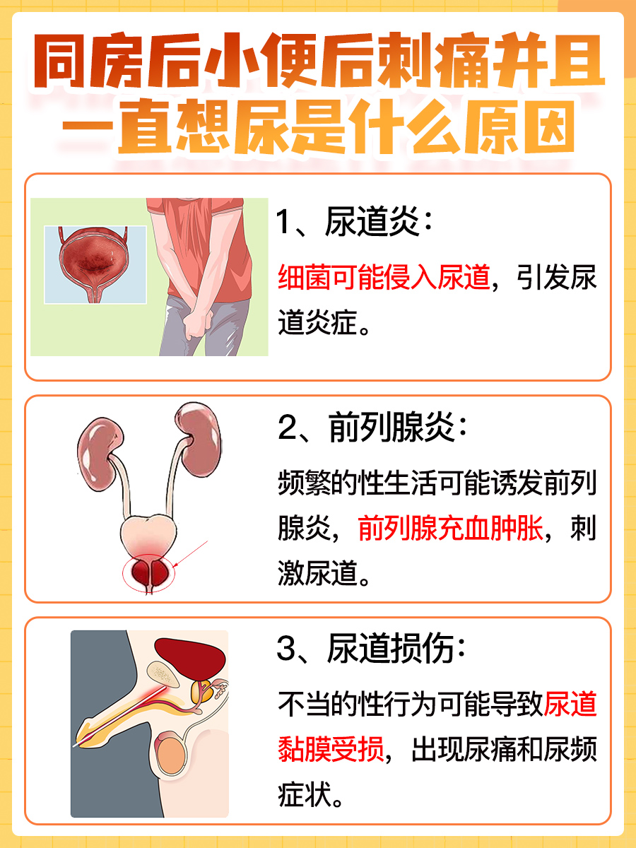 同房后小便后刺痛并且一直想尿的原因揭秘