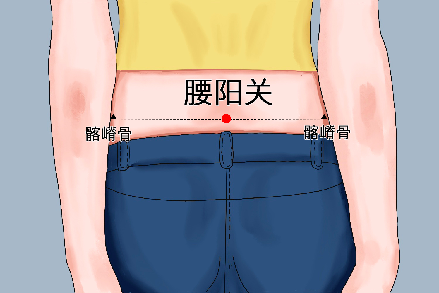 腰阳关穴位置图