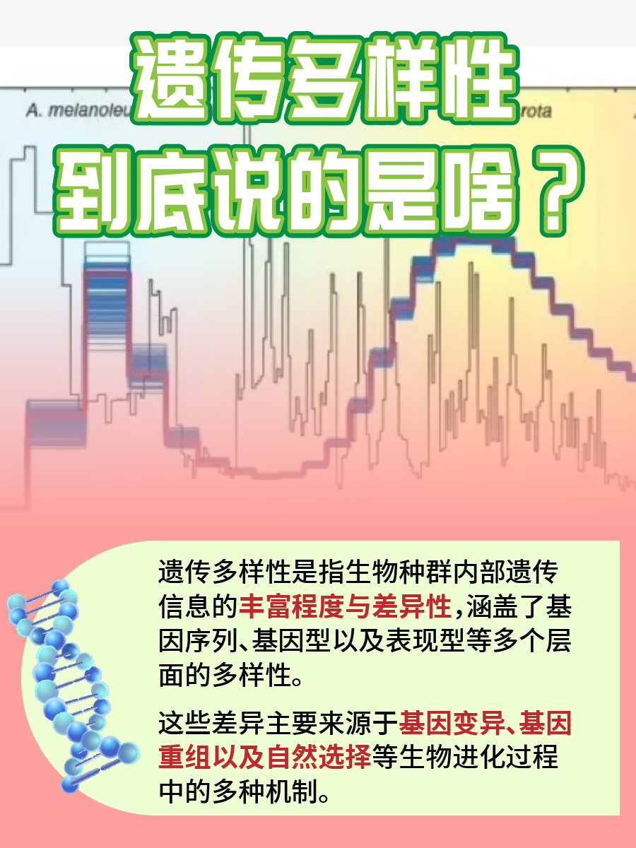 什么是遗传多样性？超详细解答来了！