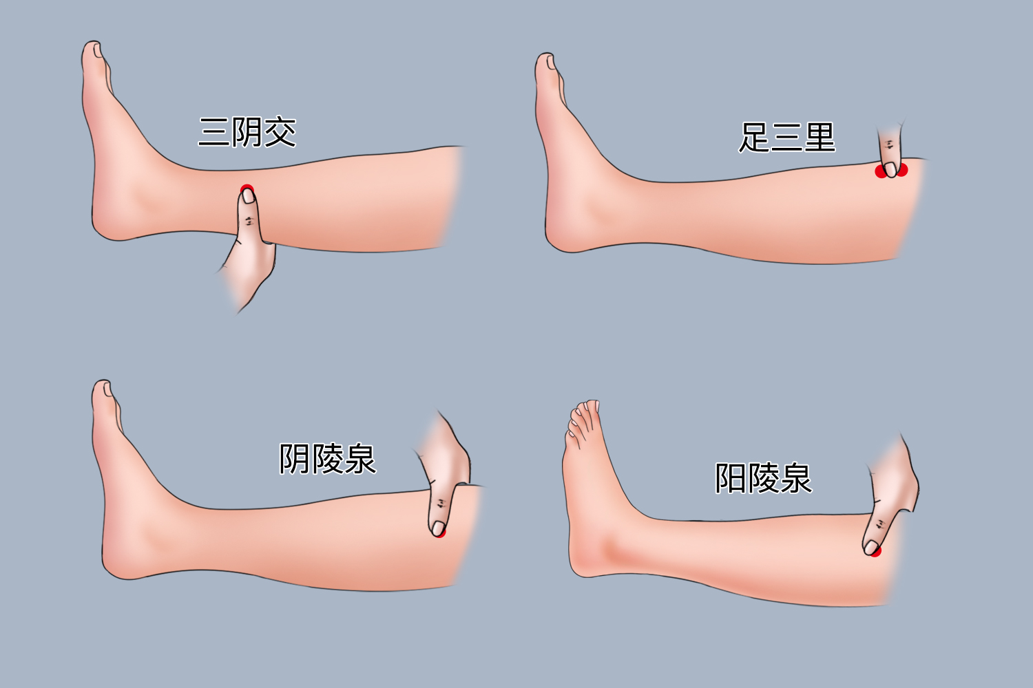 腿部穴位按揉图