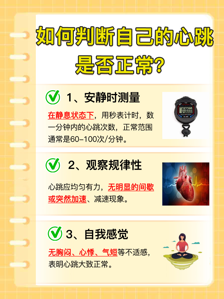 心脏是在哪个位置?一文解析