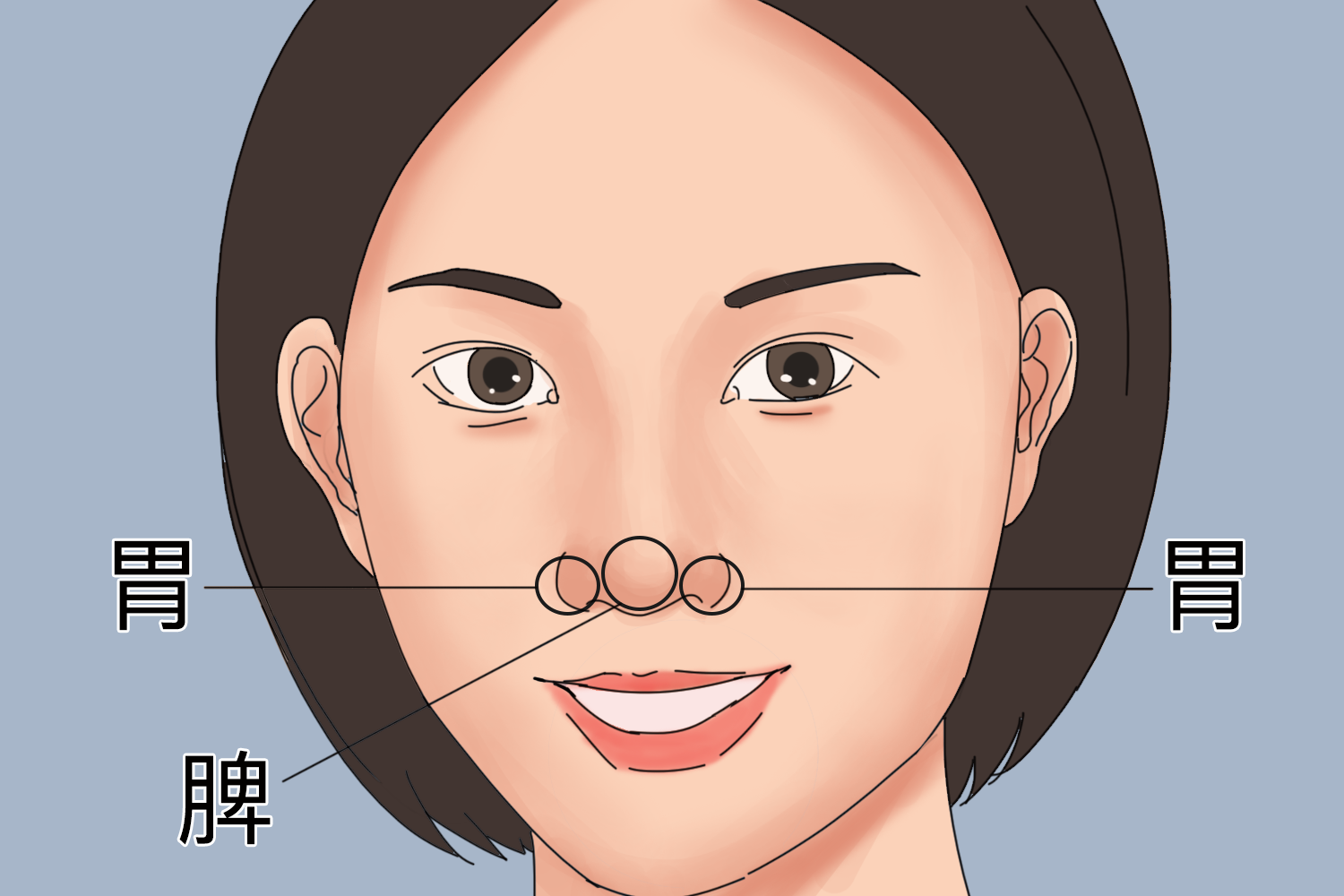 胃在头部反射区