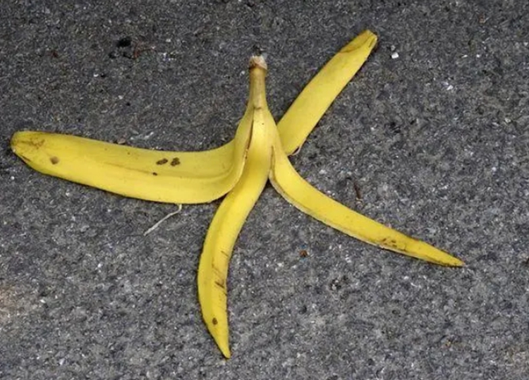 香蕉皮.jpg