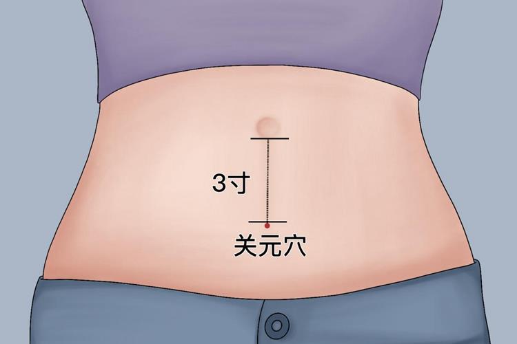 关元穴图 关元穴图