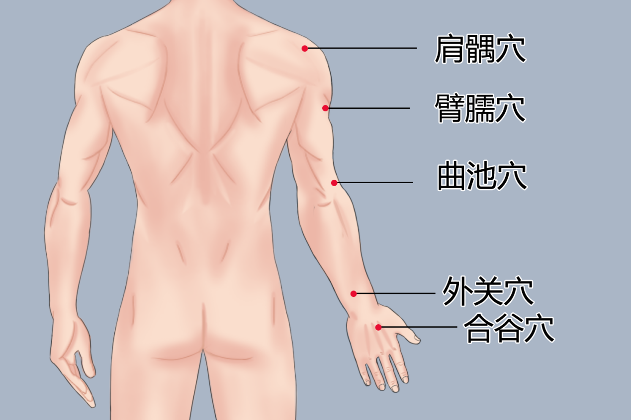 曲池穴、外关穴、合谷穴、肩髃穴、臂臑穴位置图
