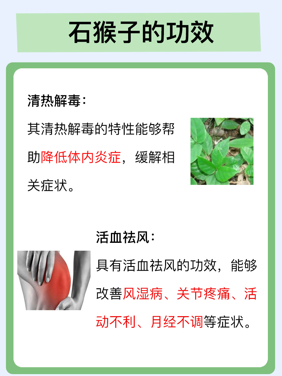 石猴子草药图片与功效