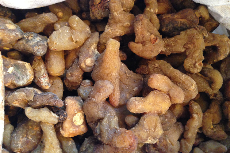 黄精干燥后图 黄精干燥后图