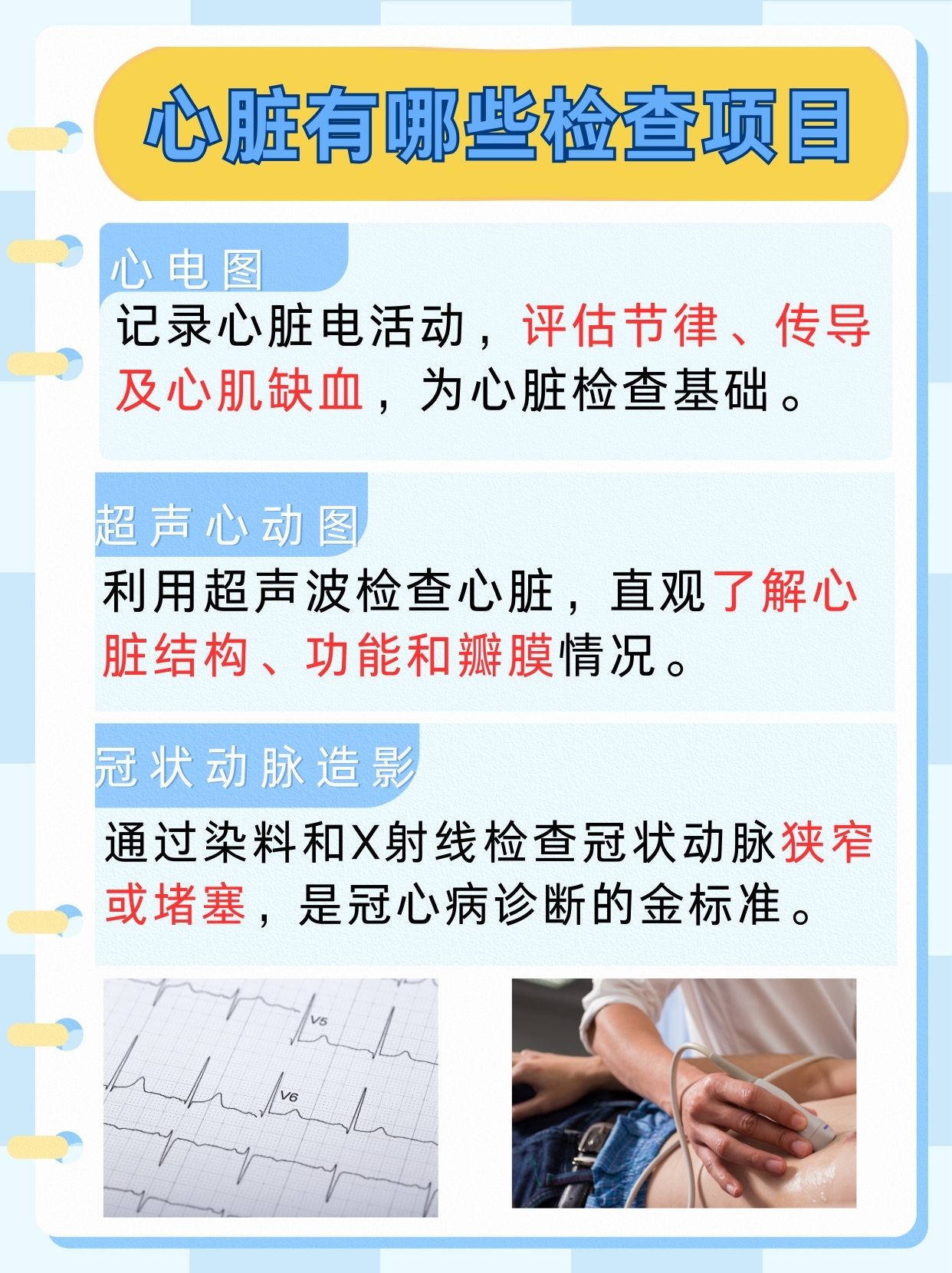心脏由什么组成，带你了解！