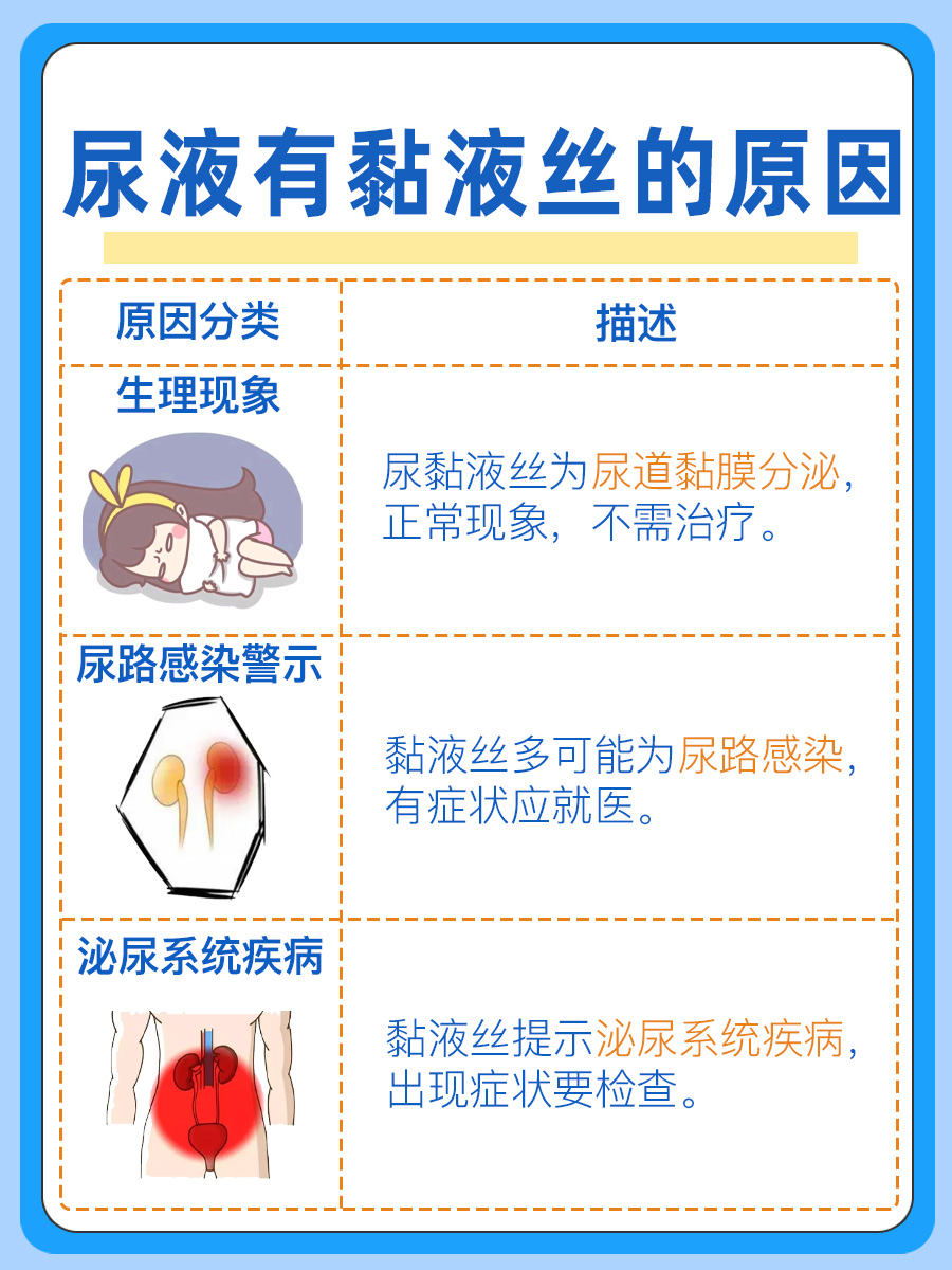 尿液中黏液丝现象解析：潜在健康问题的警示