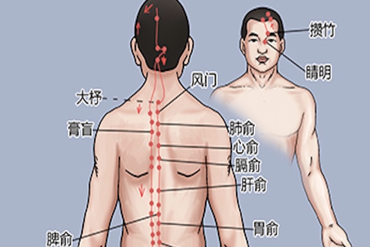 足太阳膀胱经头部分布图