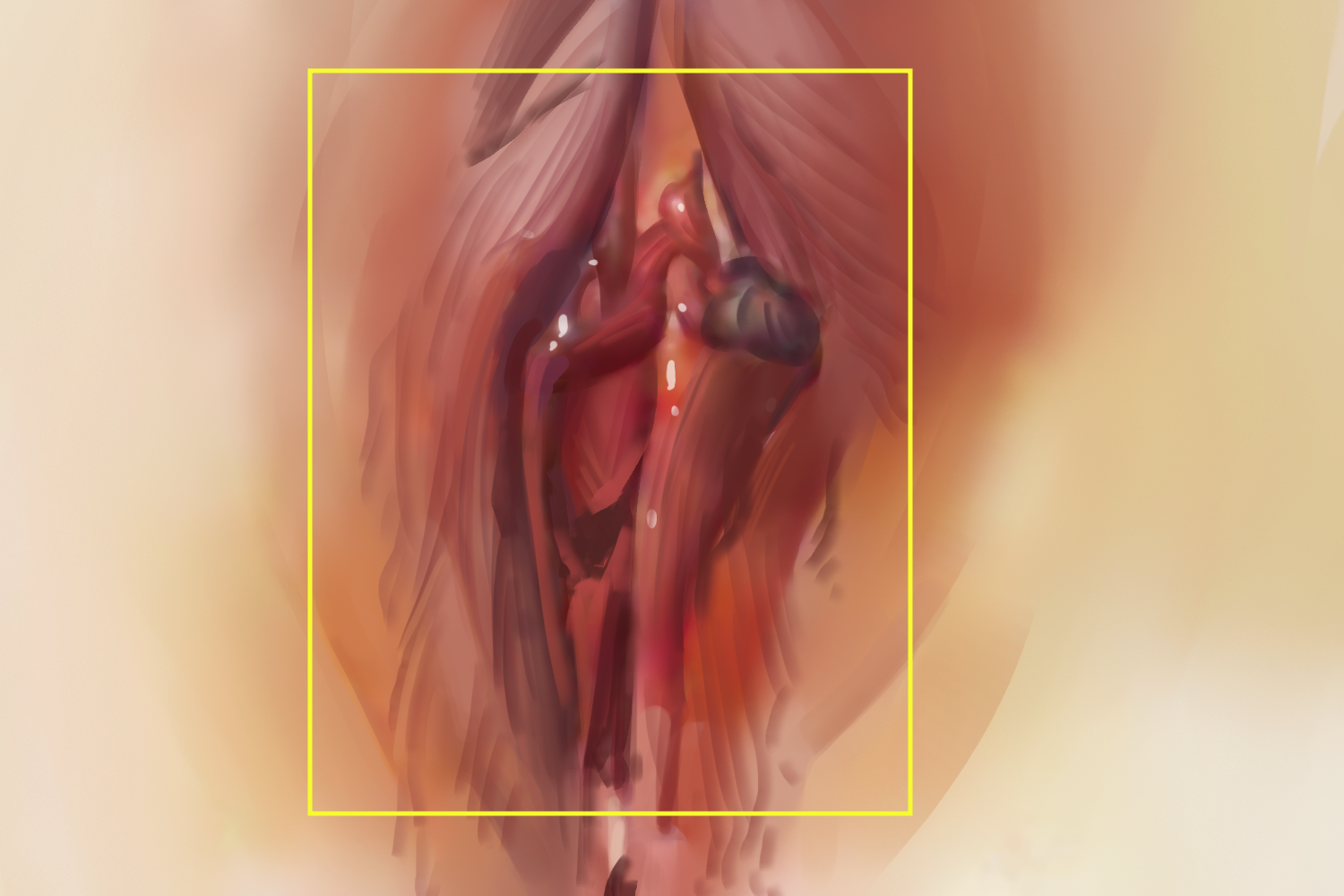 老年性外阴萎缩大阴唇皮肤萎缩图 老年性外阴萎缩大阴唇皮肤萎缩图