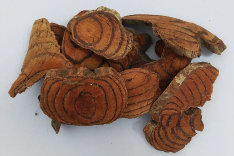 鸡血藤药材图 鸡血藤药材图