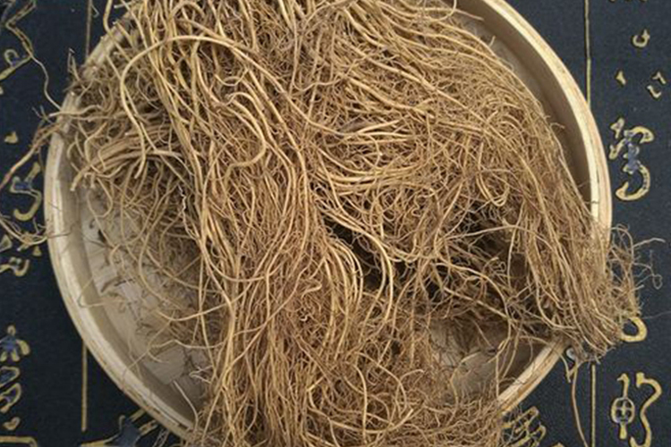 汉城细辛药材图