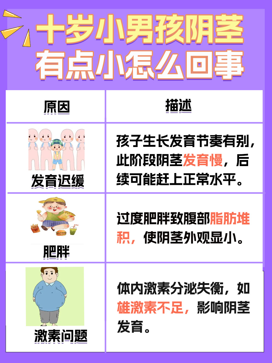 十岁男孩阴茎有点小，家长应该知道的真相！