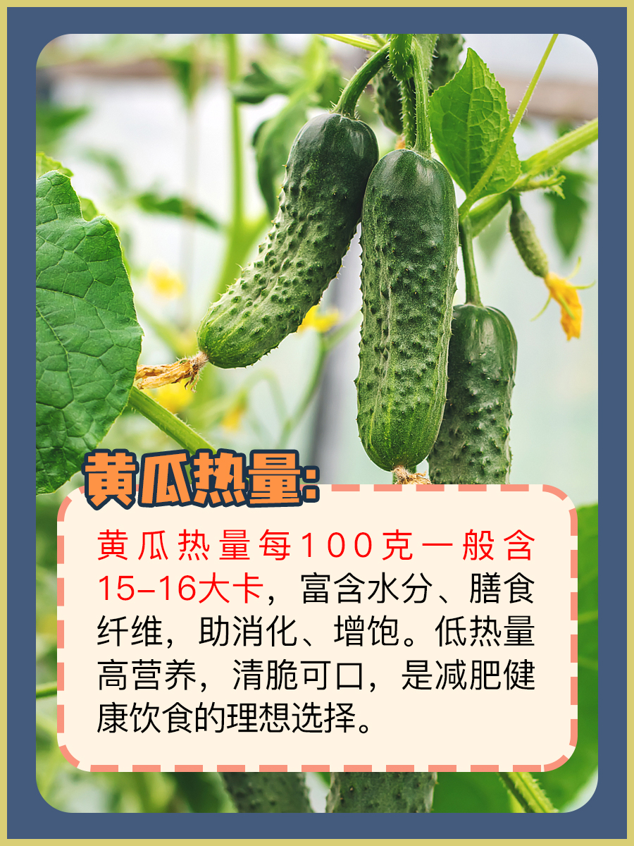 黄瓜热量是多少大卡,你知道吗?