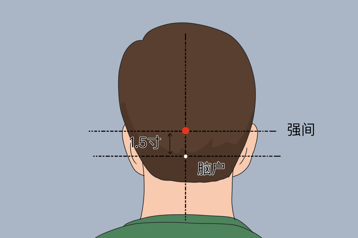 强间穴准确位置图