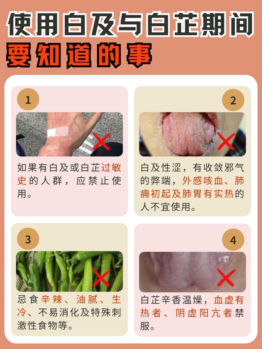 白及VS白芷，中药小白必看区别解析！